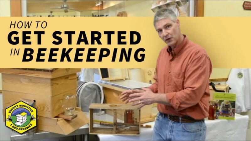 Tips for Getting Started in Beekeeping (Video)